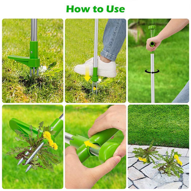 WeedRemover | Remove all weeds effortlessly!