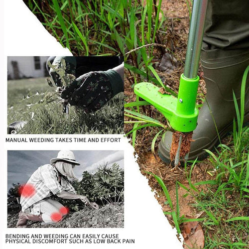 WeedRemover | Remove all weeds effortlessly!